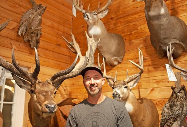 Meet the taxidermist who's building a bigger rack for Mac the Moose | iNFOnews.ca Meet the taxidermist who's building a bigger rack for Mac the Moose | iNFOnews.ca