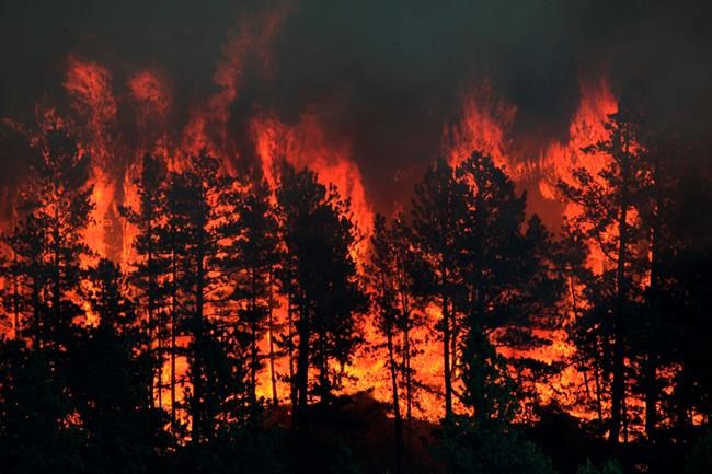 Fires are torching Montana, and the money is running out | iNFOnews.ca