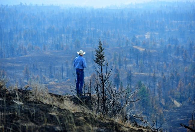 Fire is risk high in California, Northwest, northern plains | iNFOnews.ca