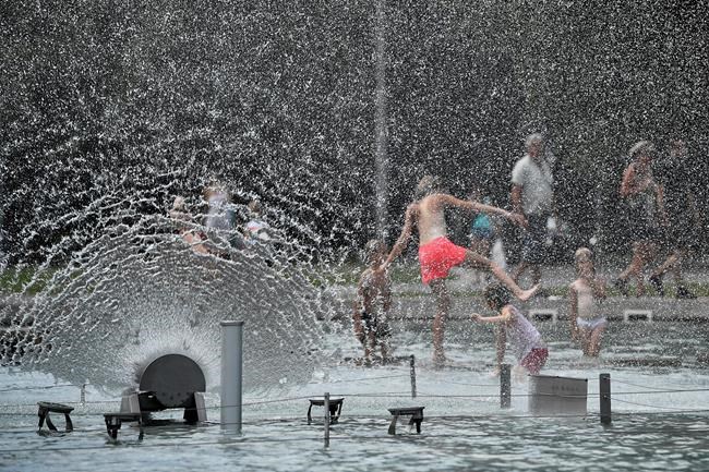 Animals, crops suffering as Europe's heatwave hits new highs | iNFOnews.ca Animals, crops suffering as Europe's heatwave hits new highs | iNFOnews.ca