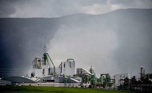 CP28706383