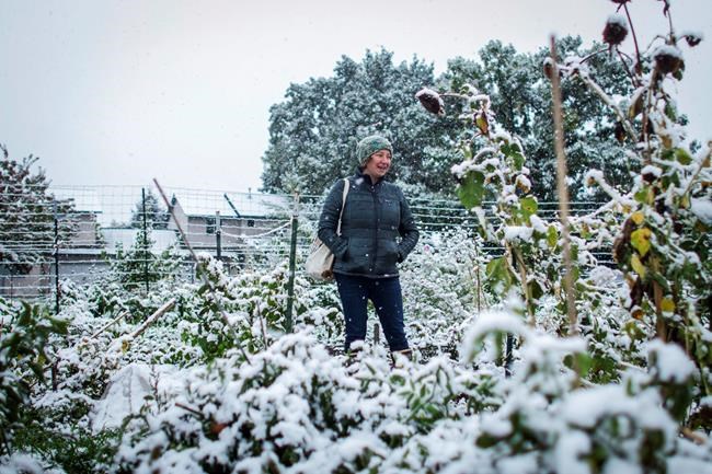 Temperatures drop in Rockies as Montana digs out from snow | iNFOnews.ca
