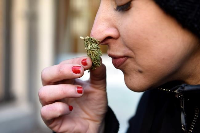 Legal pot sales begin in Uruguay under landmark 2013 law | iNFOnews.ca Legal pot sales begin in Uruguay under landmark 2013 law | iNFOnews.ca