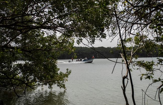 Mexico finds clandestine burial pits in north, Gulf coast | iNFOnews.ca