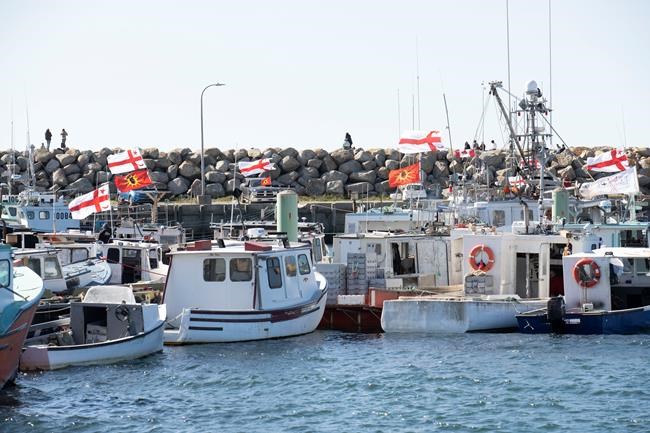 'Not a conservation concern': N.S. Mi'kmaq won't deplete lobster stock, says expert | iNFOnews.ca