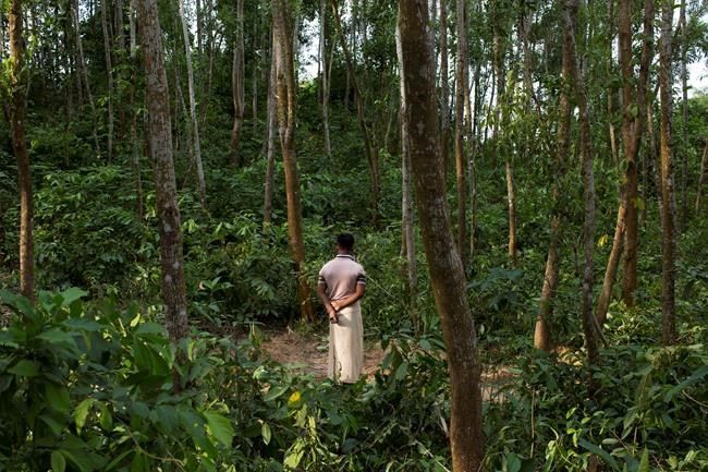 Seeking home's comforts, Rohingya couple make deadly choice | iNFOnews.ca