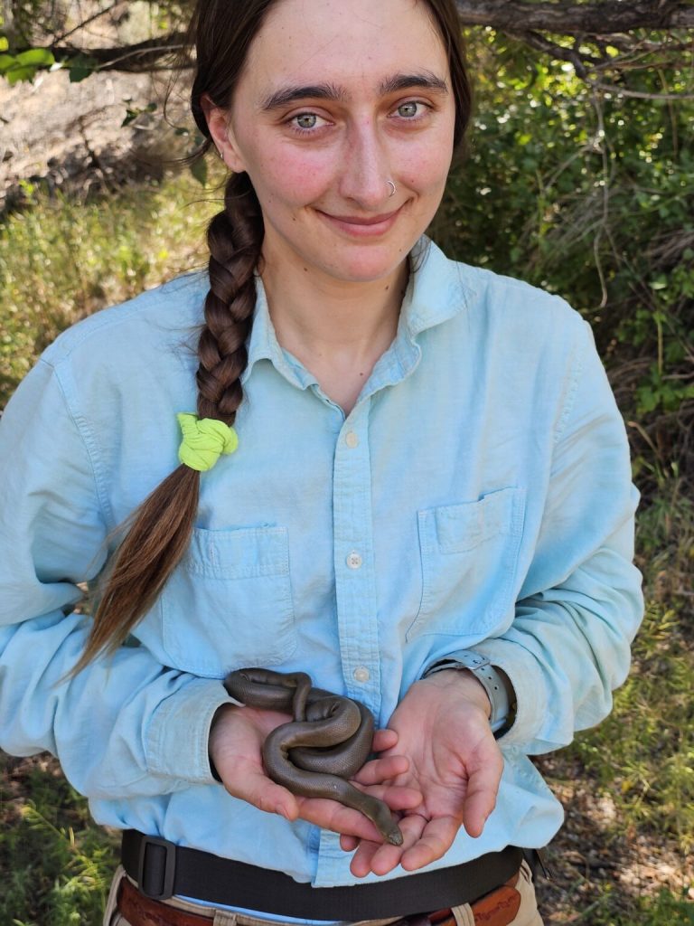 'Really cool': Kamloops grad student leads ground-breaking study on rubber boas | iNFOnews.ca 'Really cool': Kamloops grad student leads ground-breaking study on rubber boas | iNFOnews.ca