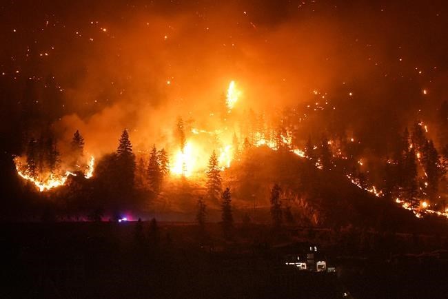 WILDLAND-URBAN INTERFACE: Why wildfire fatalities seem so prevalent in the U.S. | iNFOnews.ca WILDLAND-URBAN INTERFACE: Why wildfire fatalities seem so prevalent in the U.S. | iNFOnews.ca