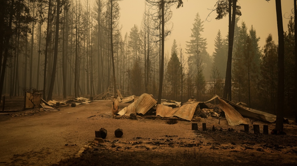 131 structures destroyed but no lives lost in Shuswap wildfire | iNFOnews.ca 131 structures destroyed but no lives lost in Shuswap wildfire | iNFOnews.ca