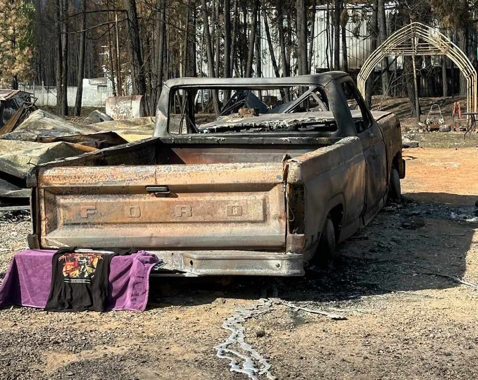 Firefighters trapping and rescuing pets displaced by Shuswap wildfire | iNFOnews.ca Firefighters trapping and rescuing pets displaced by Shuswap wildfire | iNFOnews.ca