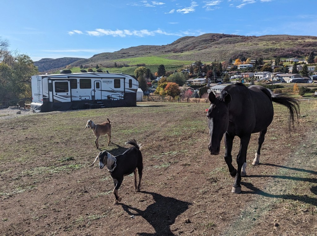 Why BC Housing can build tiny homes but you can't | iNhome