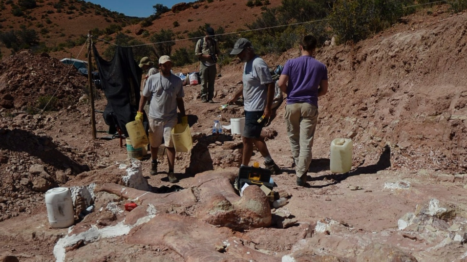 Scientists unearth the biggest dinosaur ever, possibly | iNFOnews.ca