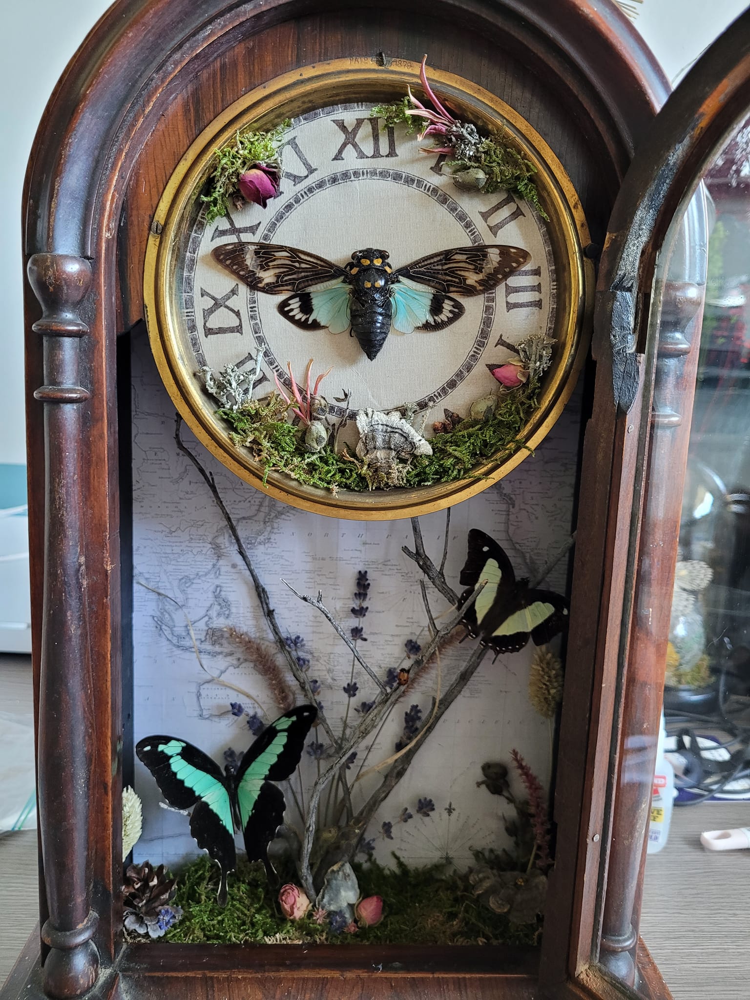 iN PHOTOS: Kamloops crafter makes whimsical works of art out of dead insects | iNFOnews.ca