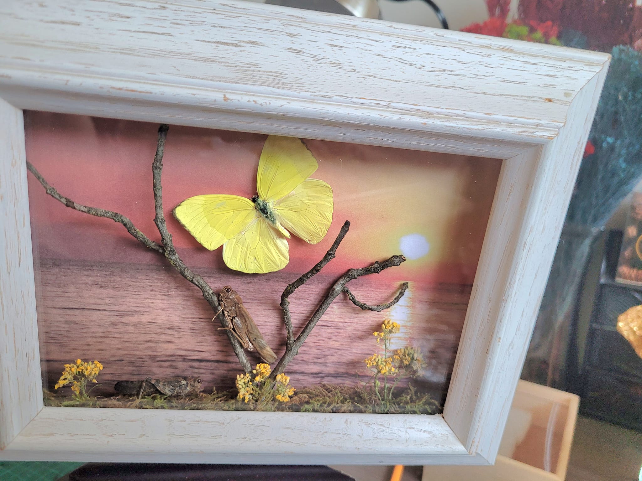 iN PHOTOS: Kamloops crafter makes whimsical works of art out of dead insects | iNFOnews.ca