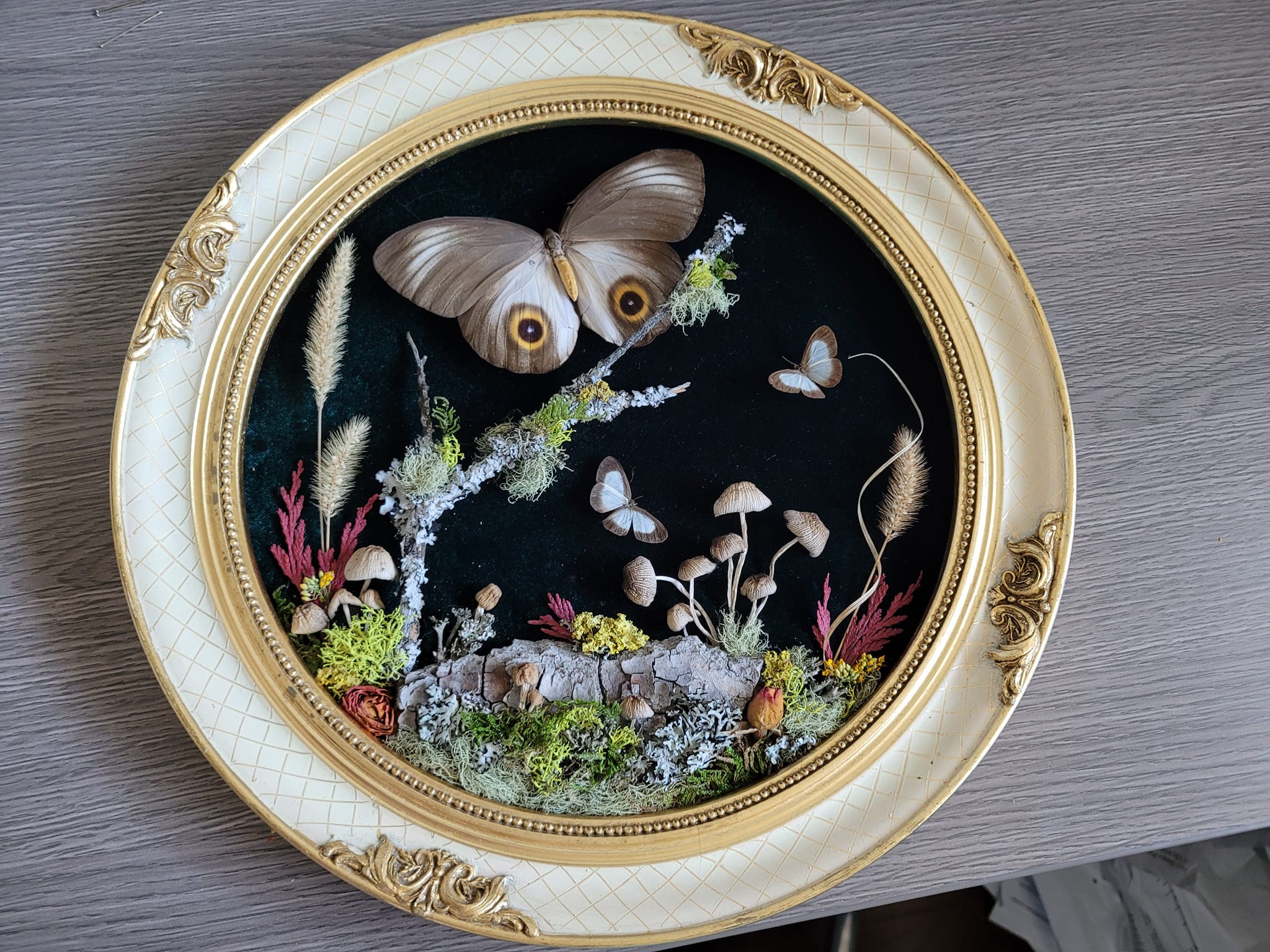 iN PHOTOS: Kamloops crafter makes whimsical works of art out of dead insects | iNFOnews.ca