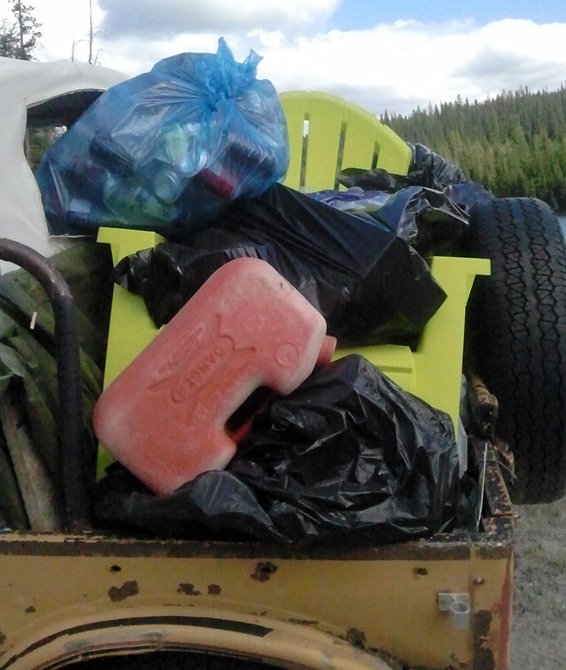 Found amongst the damage; beaver poached at Headwaters bush party | iNFOnews.ca
