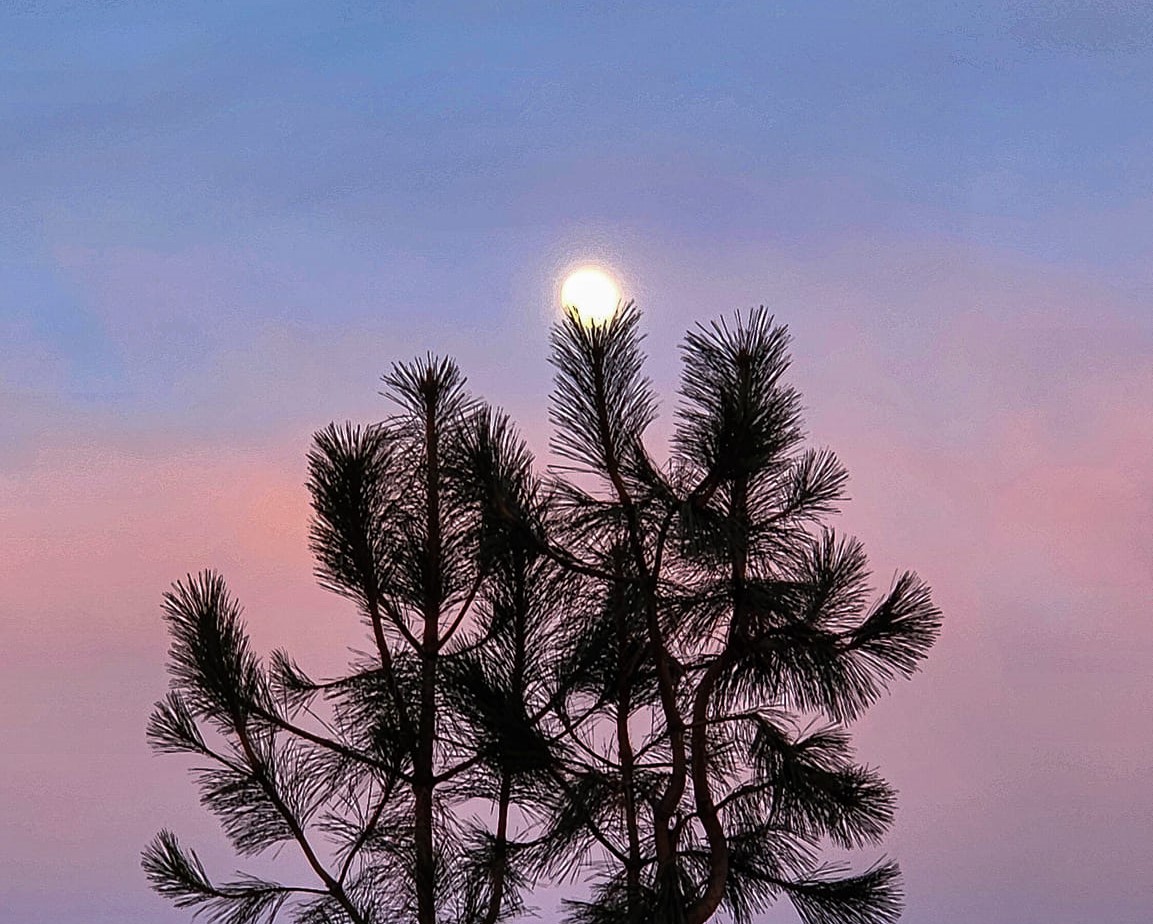 iN PHOTOS: Rare Christmastime Cold Moon lit up skies in Kamloops, Okanagan | iNFOnews.ca