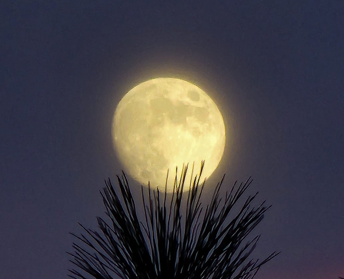 iN PHOTOS: Rare Christmastime Cold Moon lit up skies in Kamloops, Okanagan | iNFOnews.ca