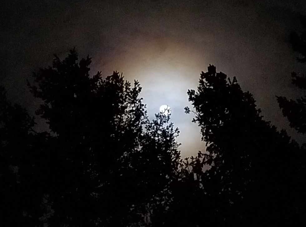 iN PHOTOS: Rare Christmastime Cold Moon lit up skies in Kamloops, Okanagan | iNFOnews.ca