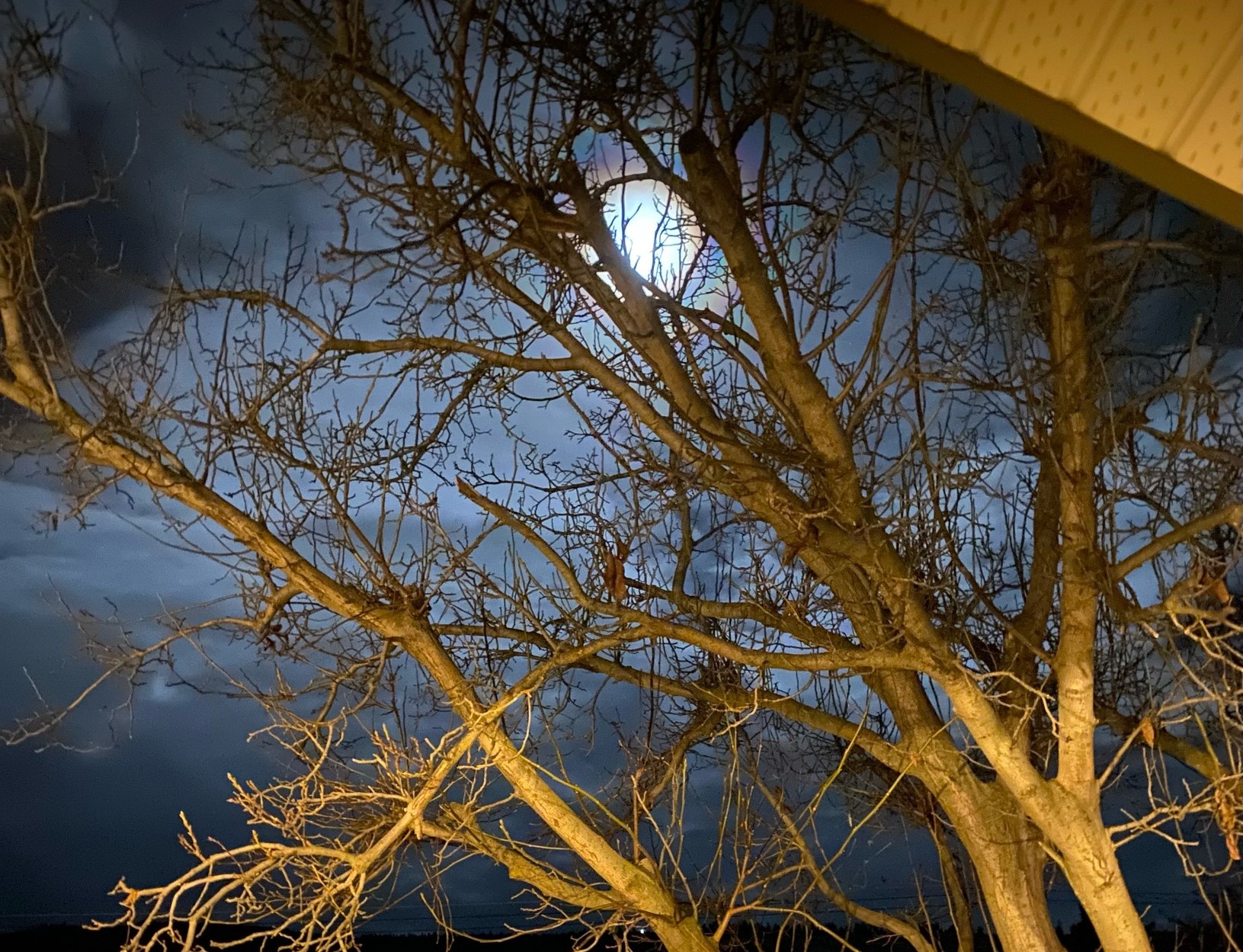 iN PHOTOS: Rare Christmastime Cold Moon lit up skies in Kamloops, Okanagan | iNFOnews.ca