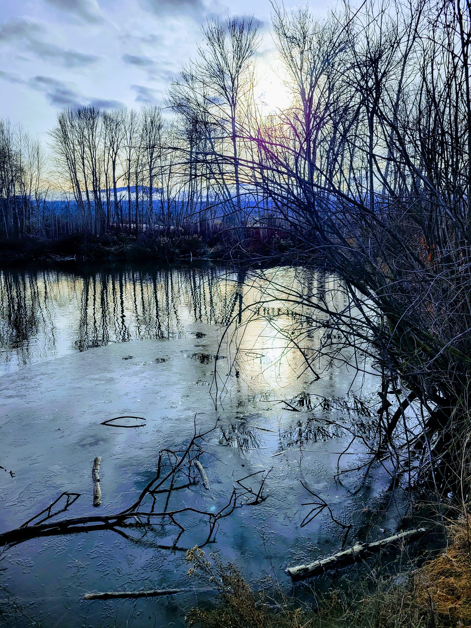 iN PHOTOS: Winter views at Kelowna's natural treasure, Munson Pond | iNFOnews.ca iN PHOTOS: Winter views at Kelowna's natural treasure, Munson Pond | iNFOnews.ca