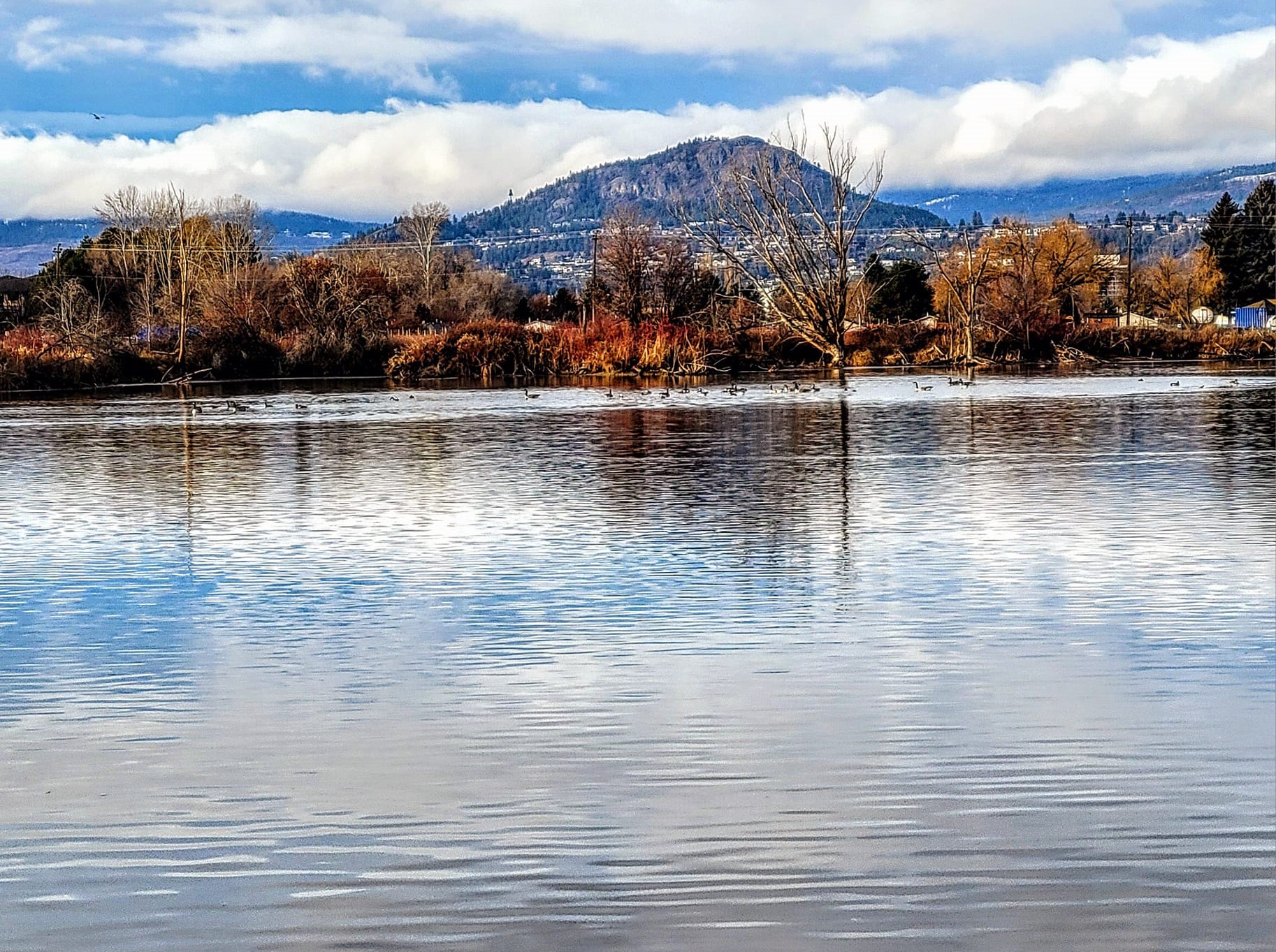 iN PHOTOS: Winter views at Kelowna's natural treasure, Munson Pond | iNFOnews.ca iN PHOTOS: Winter views at Kelowna's natural treasure, Munson Pond | iNFOnews.ca