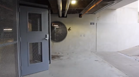 Smart birds open and close garage door | iNFOnews.ca Smart birds open and close garage door | iNFOnews.ca