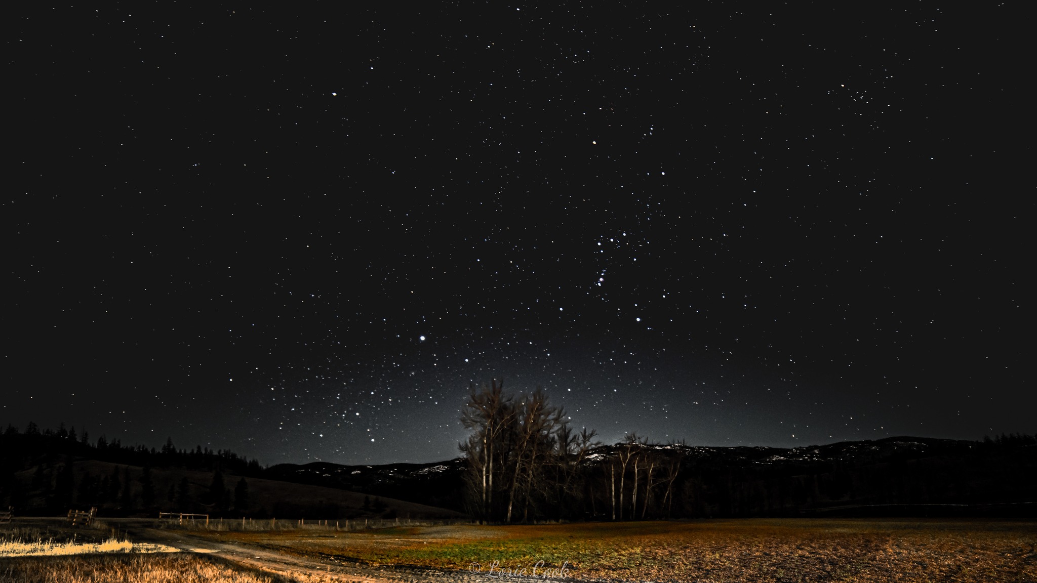 iN PHOTOS: Starry skies and bright cities captured in Kamloops, Okanagan | iNFOnews.ca