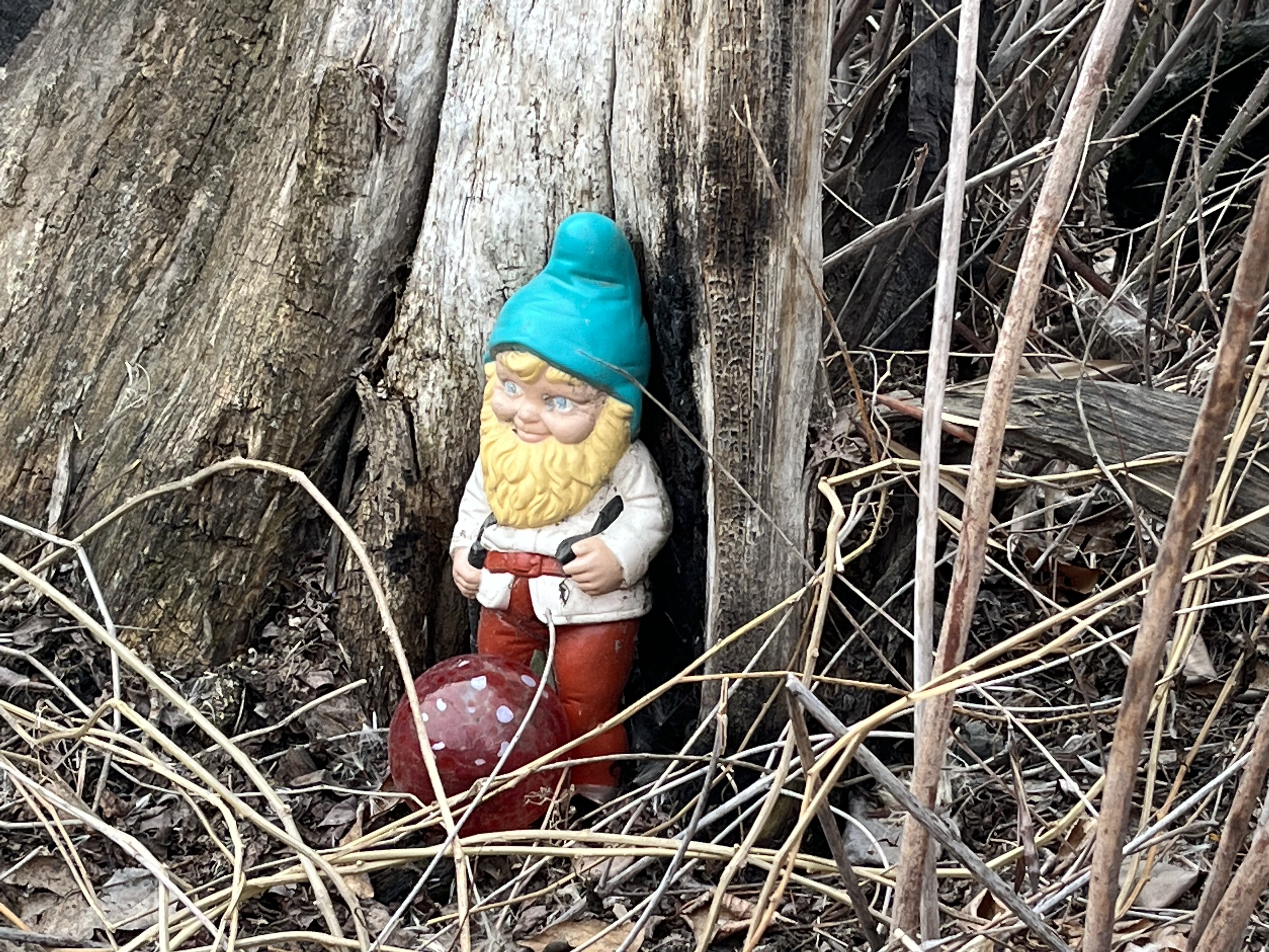 iN PHOTOS: Whimsical figurines decorate this 'Shire' on a Kamloops hiking trail | iNFOnews.ca