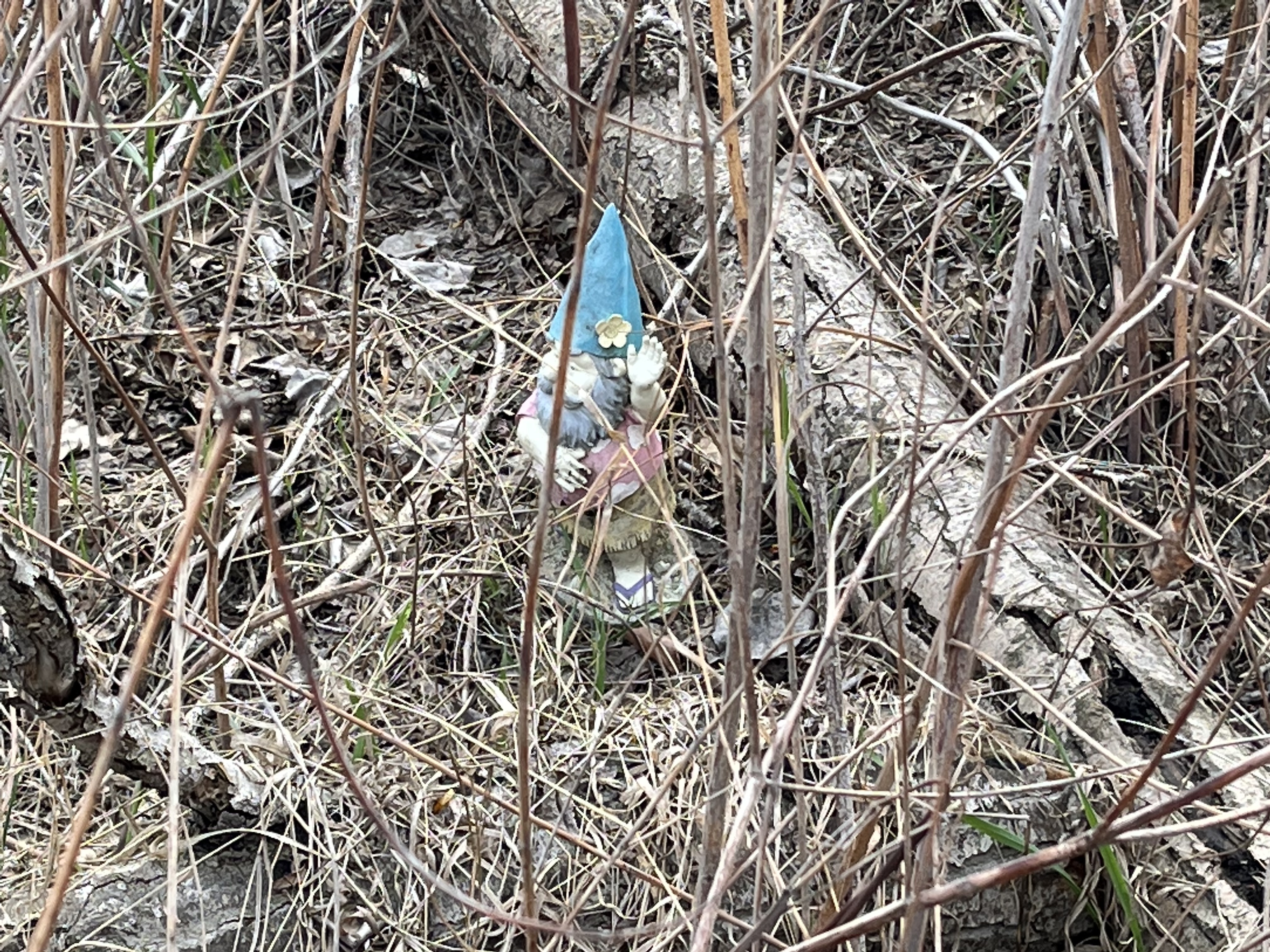 iN PHOTOS: Whimsical figurines decorate this 'Shire' on a Kamloops hiking trail | iNFOnews.ca
