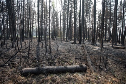 Start of wildfire season better than last year, but risk is high as drought continues | iNFOnews.ca Start of wildfire season better than last year, but risk is high as drought continues | iNFOnews.ca