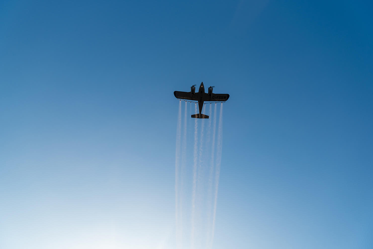 iN PHOTOS: Sun rises behind plane spraying for invasive moth in Kamloops | iNFOnews.ca iN PHOTOS: Sun rises behind plane spraying for invasive moth in Kamloops | iNFOnews.ca