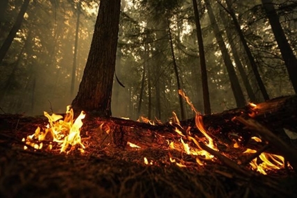 Thousands in Fort Nelson, B.C., ordered to evacuate as wildfire threatens town | iNFOnews.ca Thousands in Fort Nelson, B.C., ordered to evacuate as wildfire threatens town | iNFOnews.ca