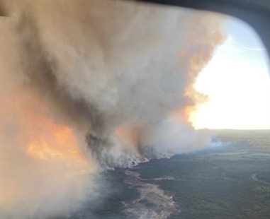 Wildfire that triggered evacuation of Fort Nelson, B.C. caused by downed tree: mayor | iNFOnews.ca