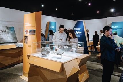 Royal BC Museum dinosaur exhibit coming to Okanagan | iNFOnews.ca