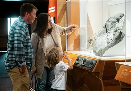 Royal BC Museum dinosaur exhibit coming to Okanagan | iNFOnews.ca