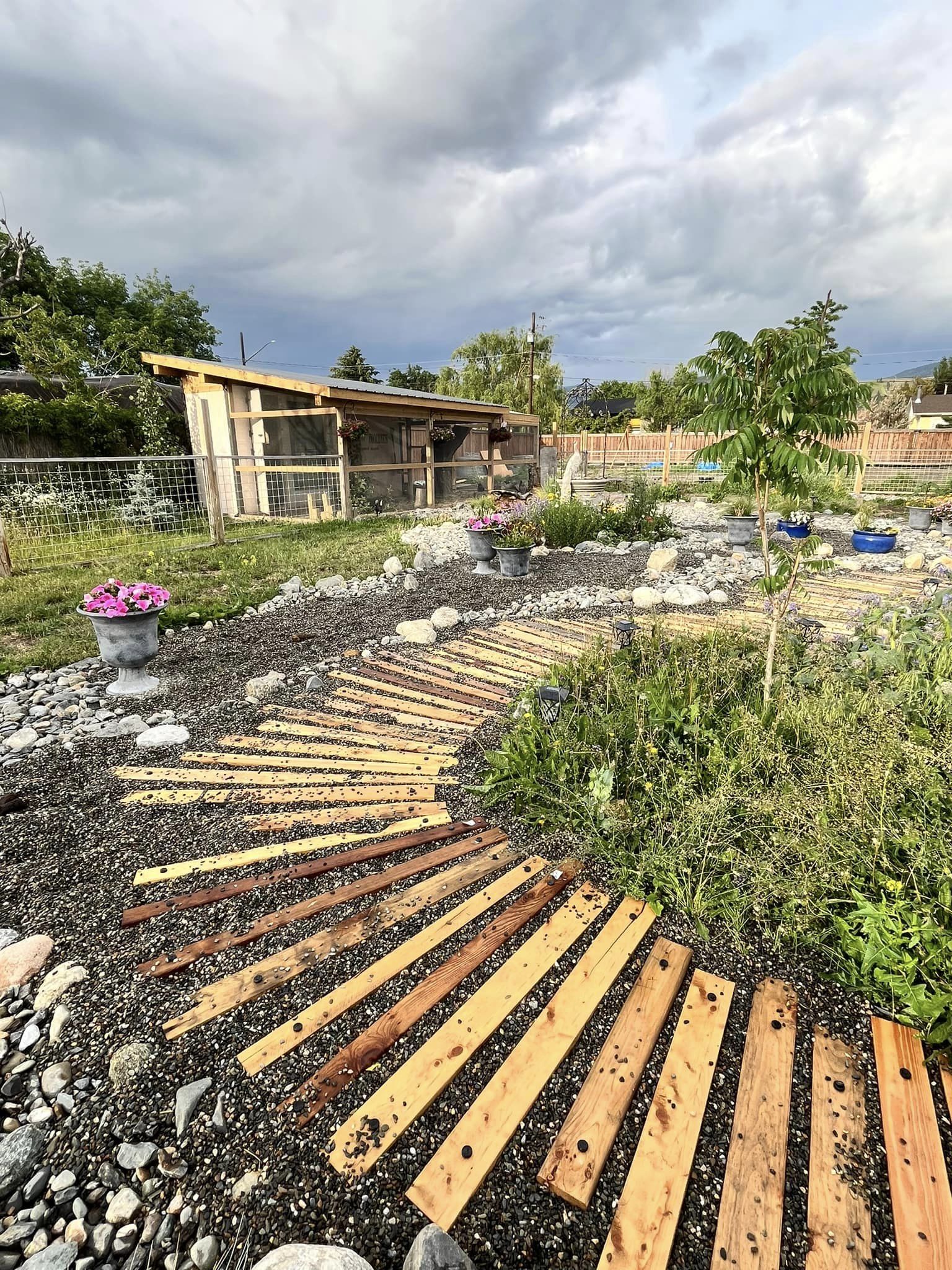 iN PHOTOS: Muddy backyard near Kamloops transforms into xeriscape masterpiece | iNFOnews.ca