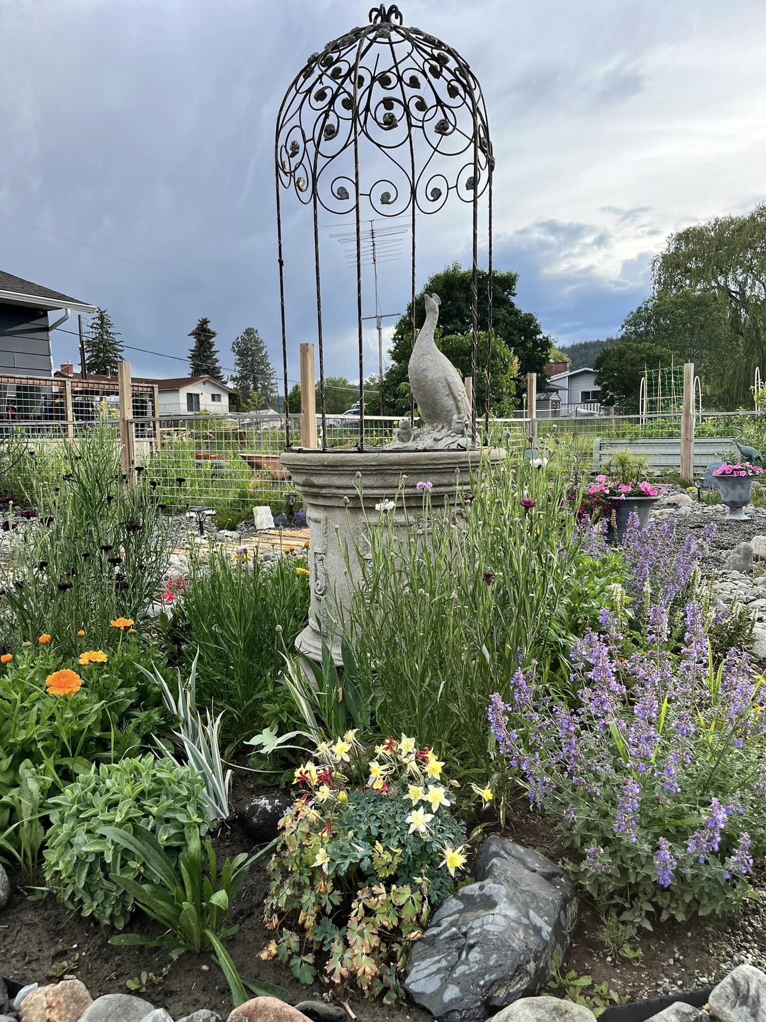 iN PHOTOS: Muddy backyard near Kamloops transforms into xeriscape masterpiece | iNFOnews.ca