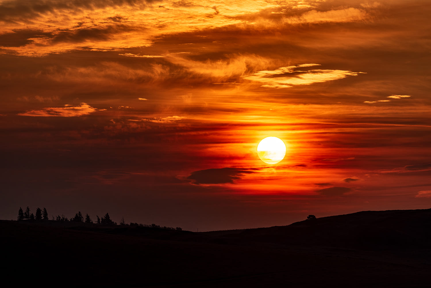iN PHOTOS: Shutterbugs celebrate summer solstice in Kamloops, Okanagan | iNFOnews.ca