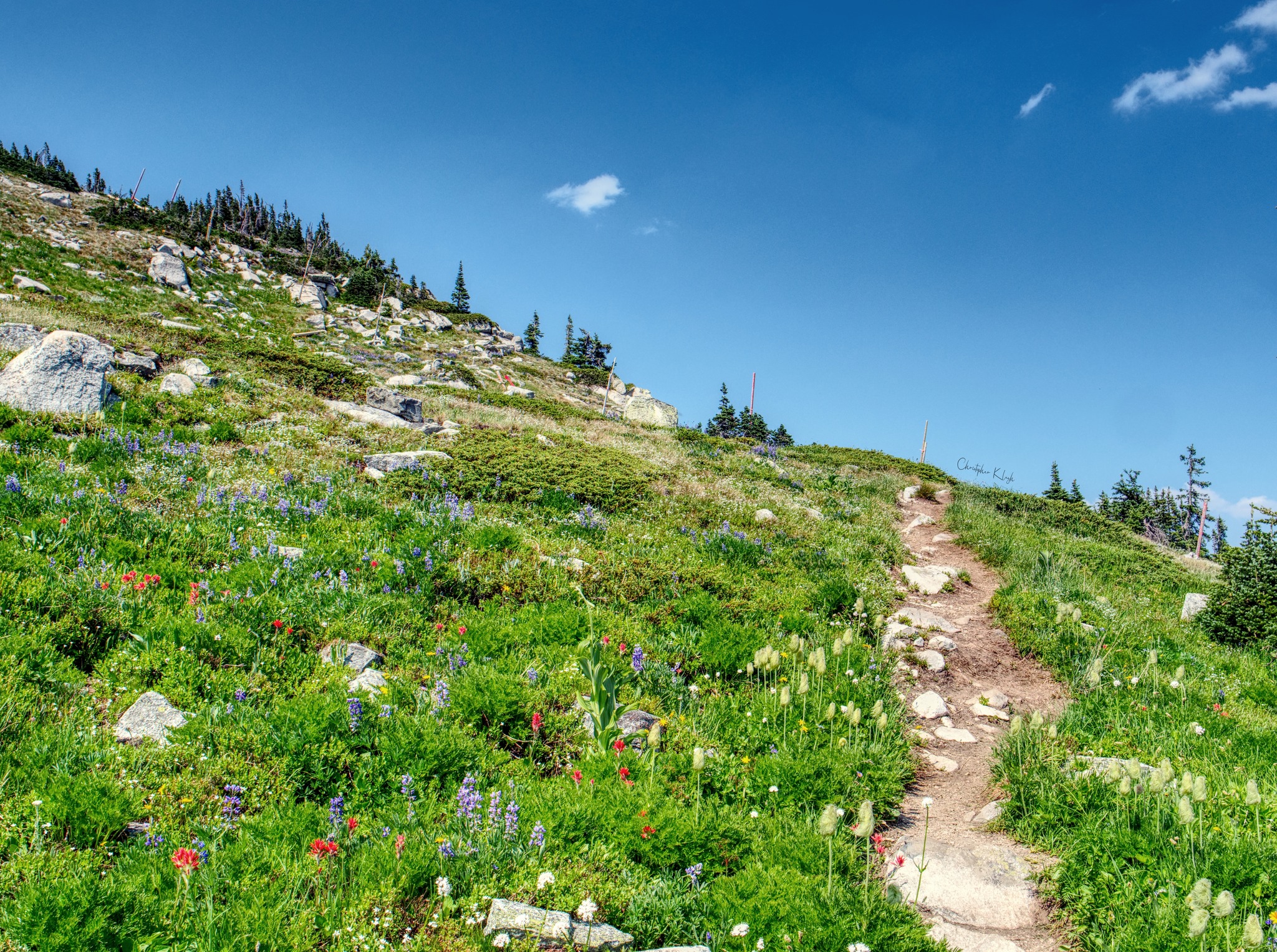 iN PHOTOS: An affordable summer adventure at Big White | iNFOnews.ca