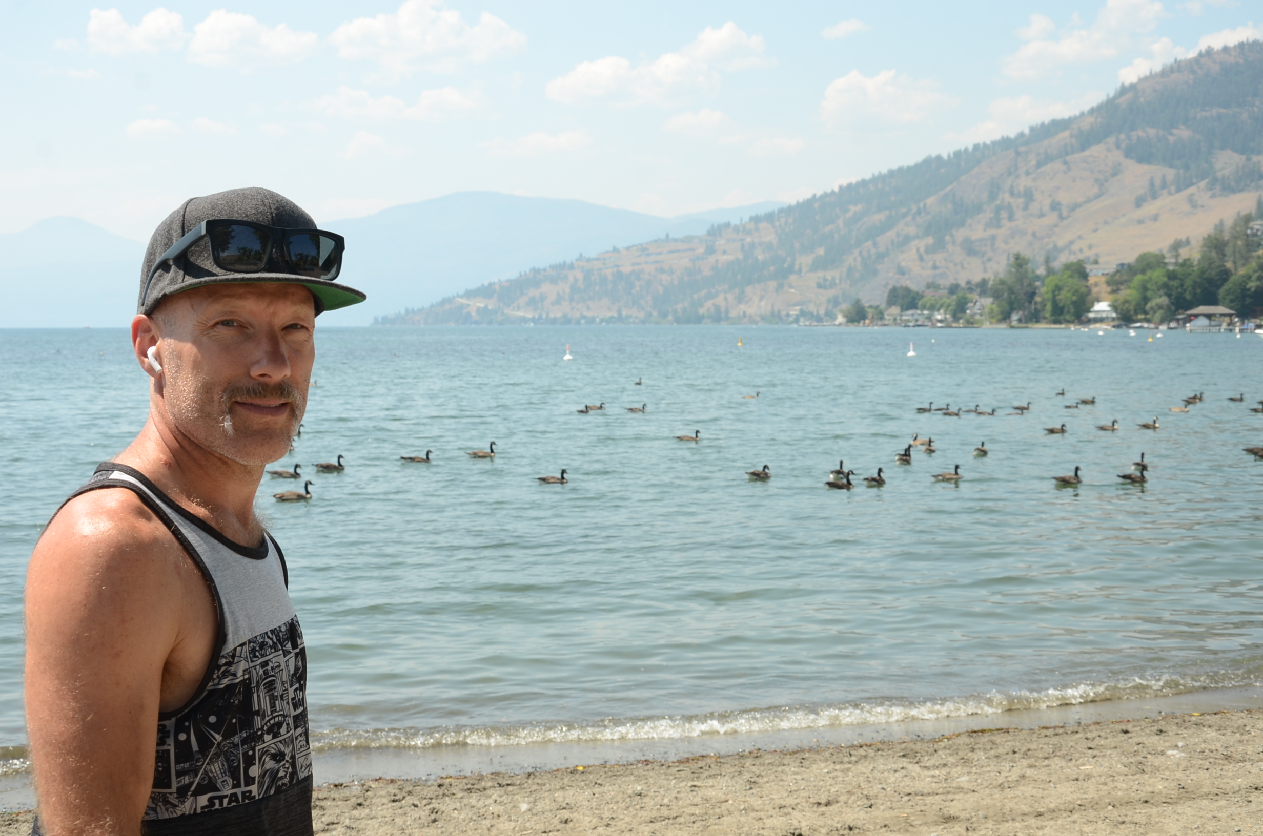 Unsurprisingly, goose poop still a massive problem on Okanagan beaches | iNFOnews.ca