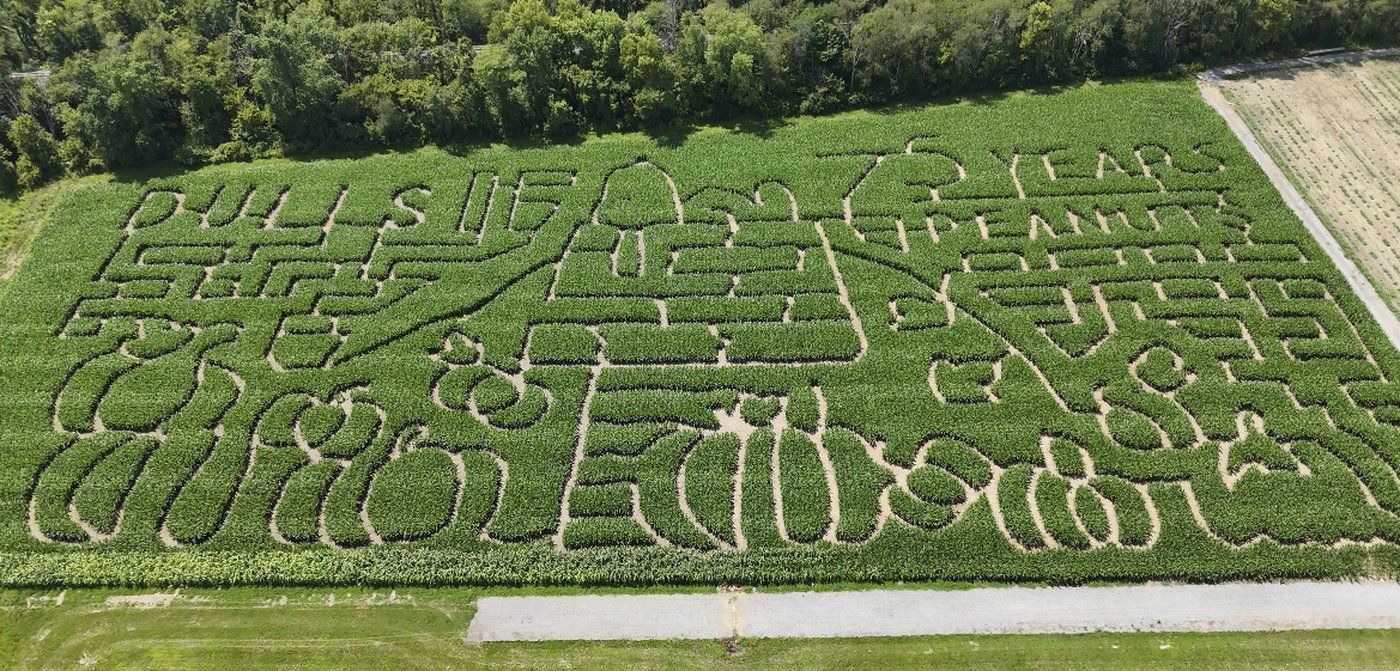 Farmers honour 'Peanuts' creator Charles M. Schulz with corn mazes across US and in Canada | iNFOnews.ca