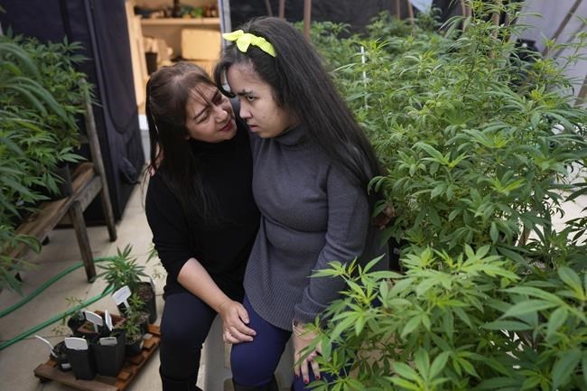 Brazilian moms are leading the charge to secure CBD for sick kids | iNFOnews.ca