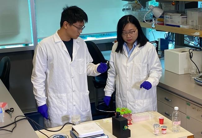 How much microplastic is in your coffee? New device by UBC researchers could tell you | iNFOnews.ca How much microplastic is in your coffee? New device by UBC researchers could tell you | iNFOnews.ca