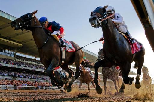 California Chrome's Triple Crown quest collapses with loss at Belmont | iNFOnews.ca