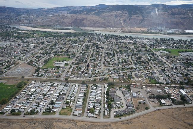 Pit bulls in Kamloops pet mauling tested positive for meth, cocaine, city says | iNFOnews.ca
