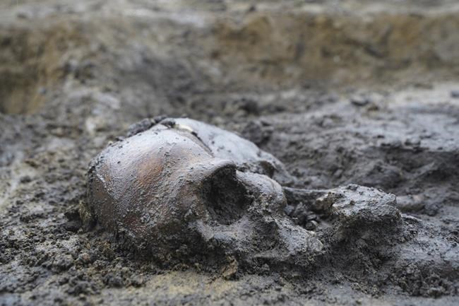 50 well-preserved Viking Age skeletons unearthed in Denmark | iNFOnews.ca