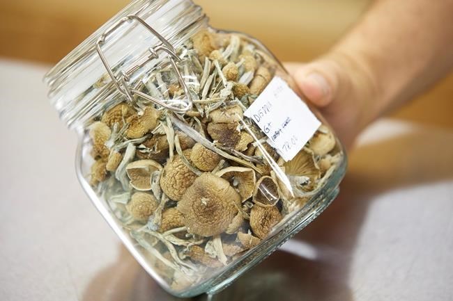 Quebec religion wants Health Canada's blessing to use magic mushrooms in ceremonies | iNFOnews.ca Quebec religion wants Health Canada's blessing to use magic mushrooms in ceremonies | iNFOnews.ca