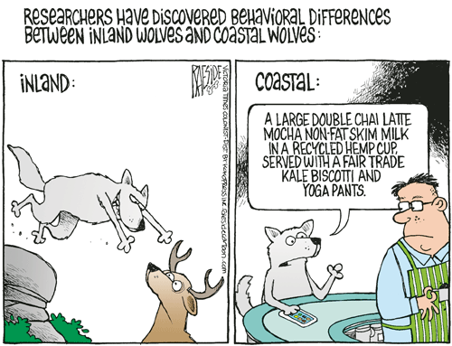 RAESIDE CARTOON | iNFOnews.ca