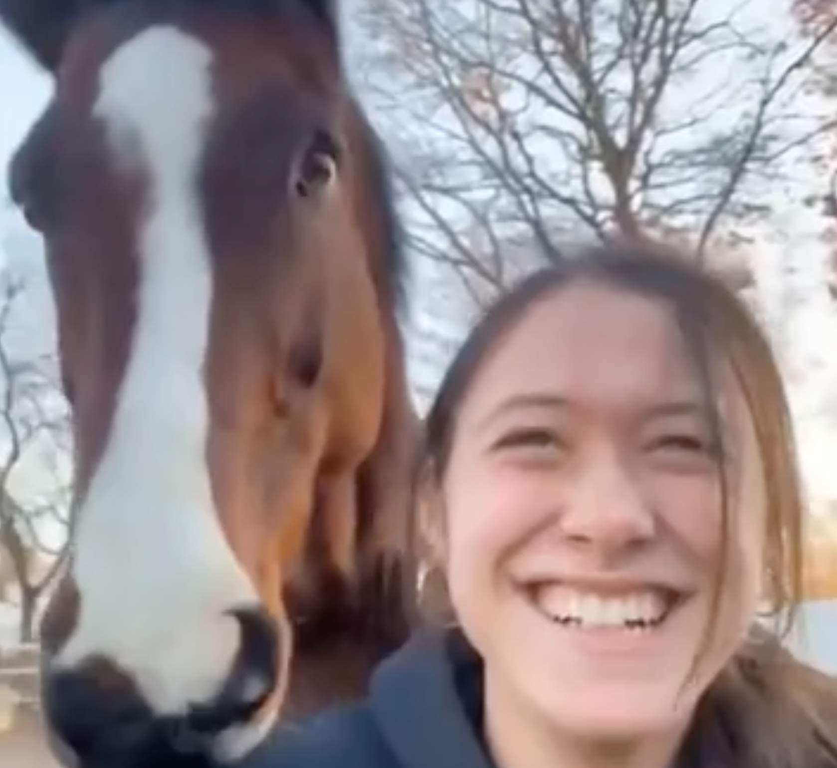 TRENDING NOW: A horse with a sense of humour | iNFOnews.ca TRENDING NOW: A horse with a sense of humour | iNFOnews.ca